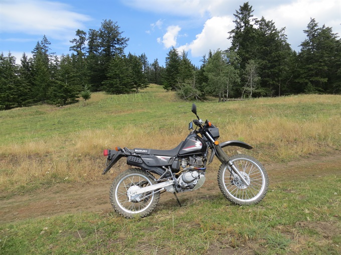 2010 Suzuki DR200SE