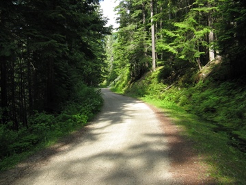 Mabel Lake FSR