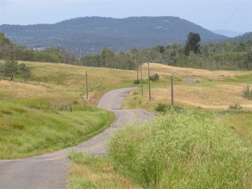 Pinantan-Pritchard Road