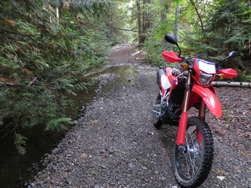 Pinaus Lake FSR / Equesis Creek FSR  (Sept 2024)